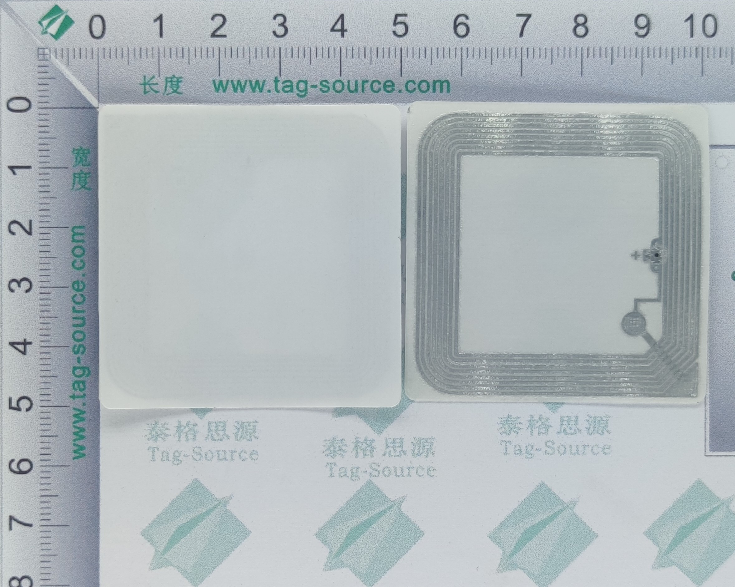 15693不干膠標(biāo)簽H2B5050A  0.635元起