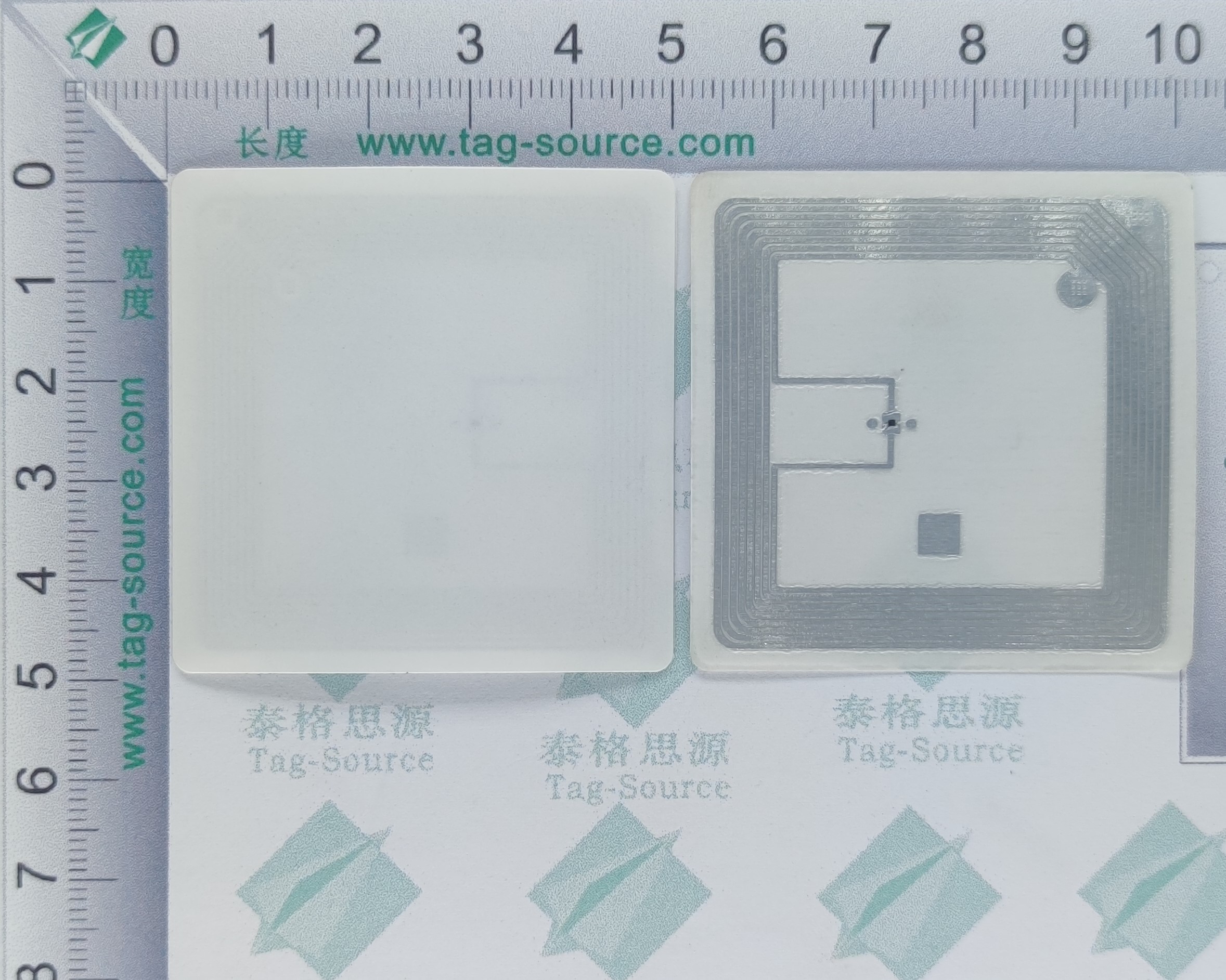 15693不干膠標(biāo)簽H2B5050B  0.635元起